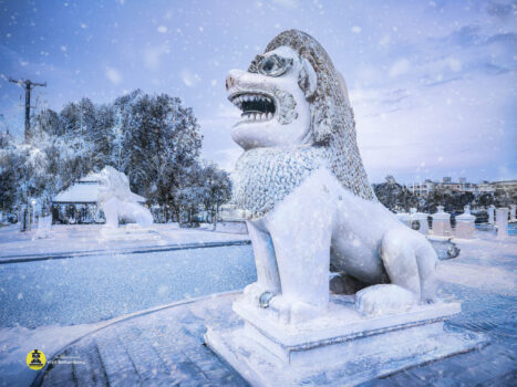 假如柬埔寨下雪,你想象过这样的场景吗?-柬之窗