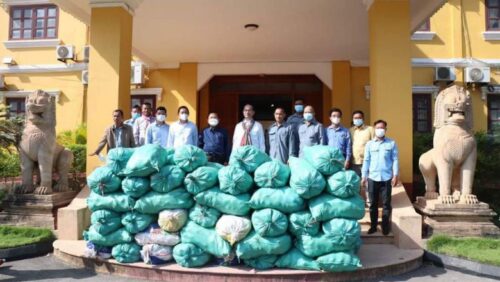 柬政府没收4万多公顷被非法侵占的洞里萨湖淹水地上种植棕榈树-柬之窗