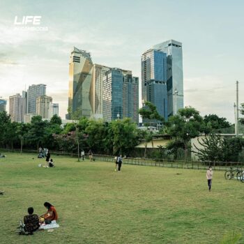 钻石岛椰子园-柬之窗