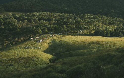 今年要去一趟奥拉山野营-柬之窗