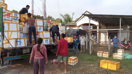 贡布查获越南进口海鲜虾含有化学物质-柬之窗