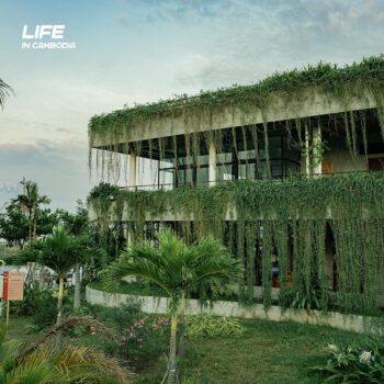 钻石岛椰子园-柬之窗