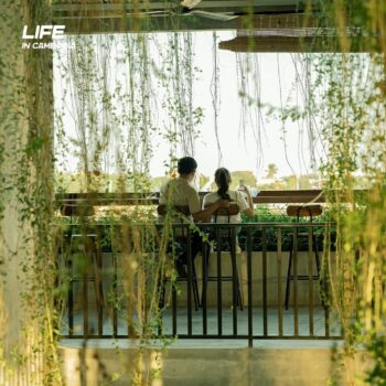 钻石岛椰子园-柬之窗