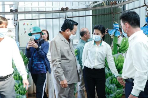 桔井省大型农业公司需要另外2万名工人来包装产品以出口到中国-柬之窗