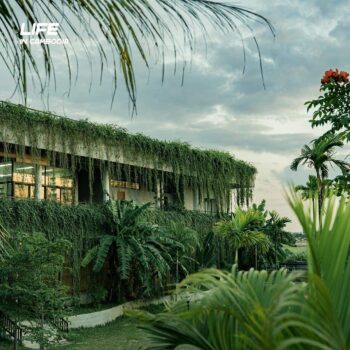 钻石岛椰子园-柬之窗