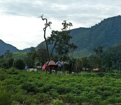 她放弃缅甸赌场业务 回家乡马德望开度假村-柬之窗
