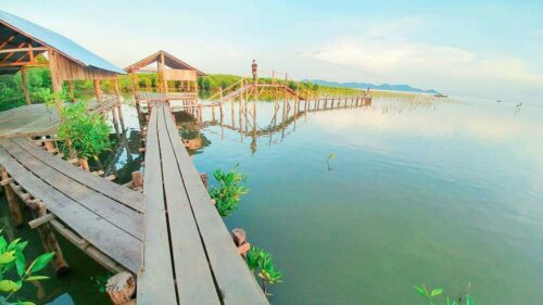 贡布省29个旅游场所迎接柬埔寨新年,等你来!-柬之窗