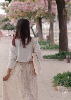 去打卡！金边皇宫河畔，樱花绽放-柬之窗