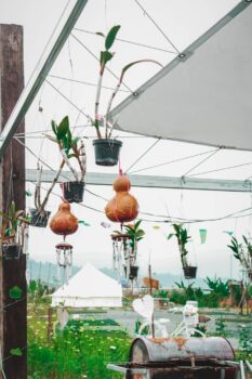 山脚野外咖啡馆-普雷咖啡(PREY COFFE)-柬之窗