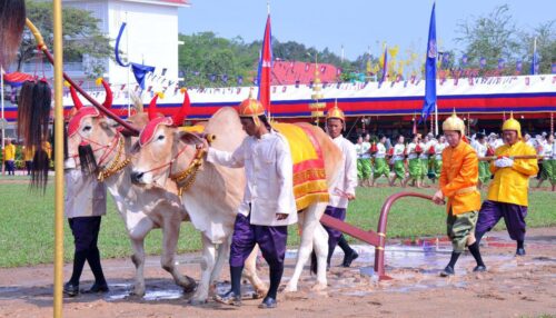 今年比萨宝蕉节正常庆祝，御耕节不举行-柬之窗