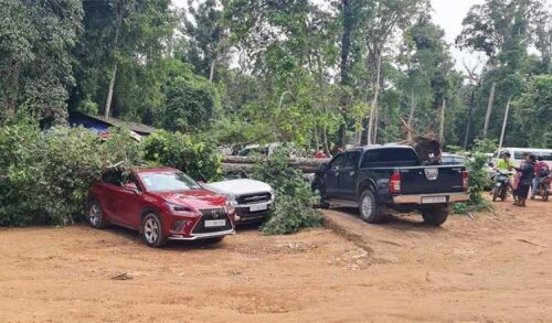 下雨天刮风树倒致使三车严重受损-柬之窗
