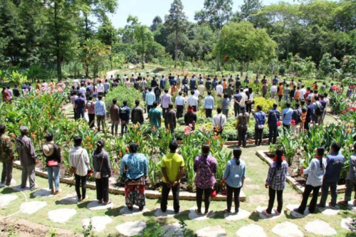 暹粒吴哥植物园正式落成,即将向公众开放-柬之窗