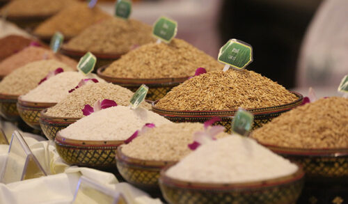 柬埔寨今年前四个月大米出口创收 5.16 亿美元-柬之窗