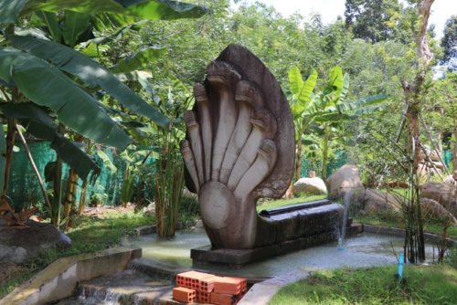 吴哥植物园将免费开放一个月-柬之窗