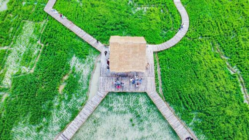 稻田咖啡屋The Square Coffee & Tea-柬之窗