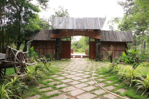 吴哥植物园将免费开放一个月-柬之窗