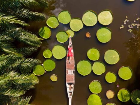 亚马逊度假村-柬之窗