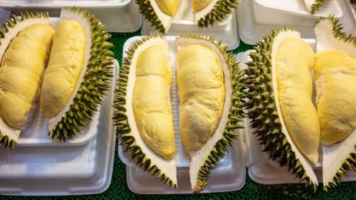 柬埔寨以美味榴莲闻名的5个省份-柬之窗
