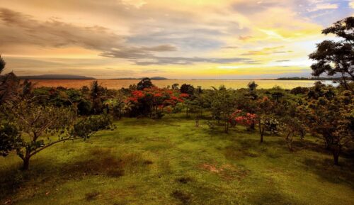 如果你闷了，去这里！-柬之窗